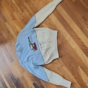 Snoopy sledding sweater American Eagle